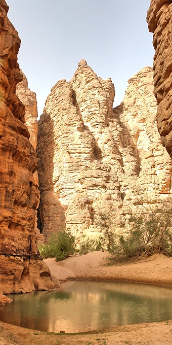 Oasis dans le désert